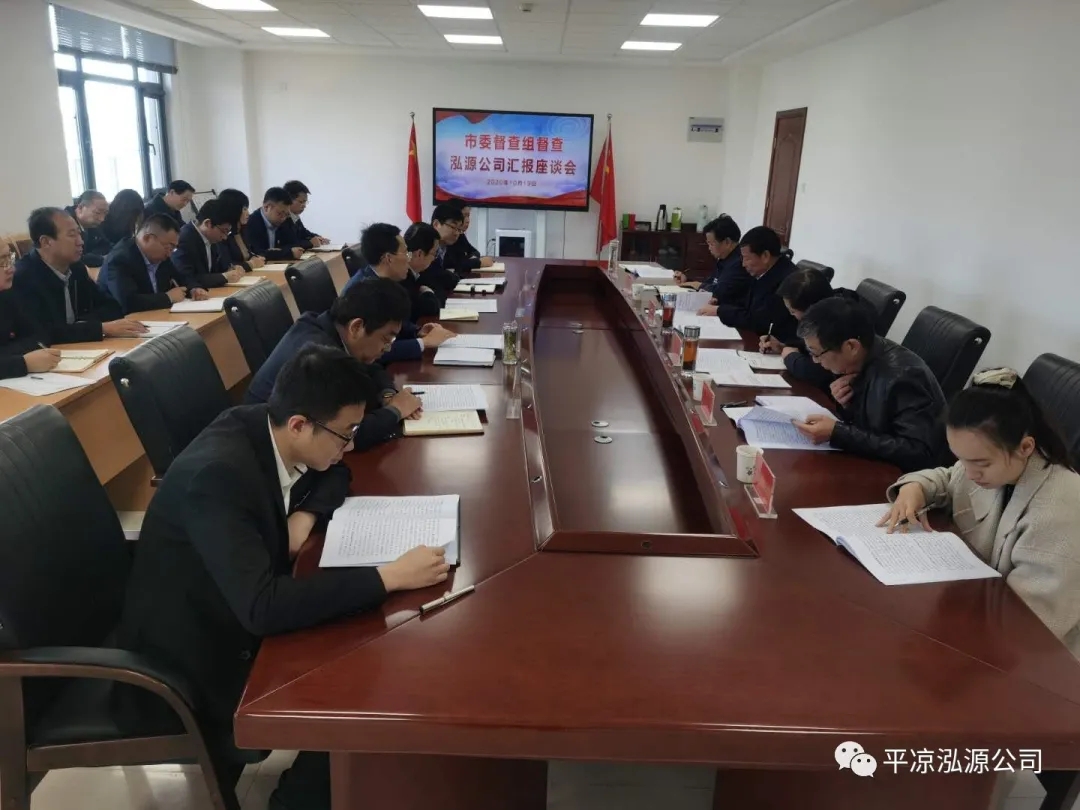 市委辦公室、市政府國資委督查泓源公司工作(圖4)